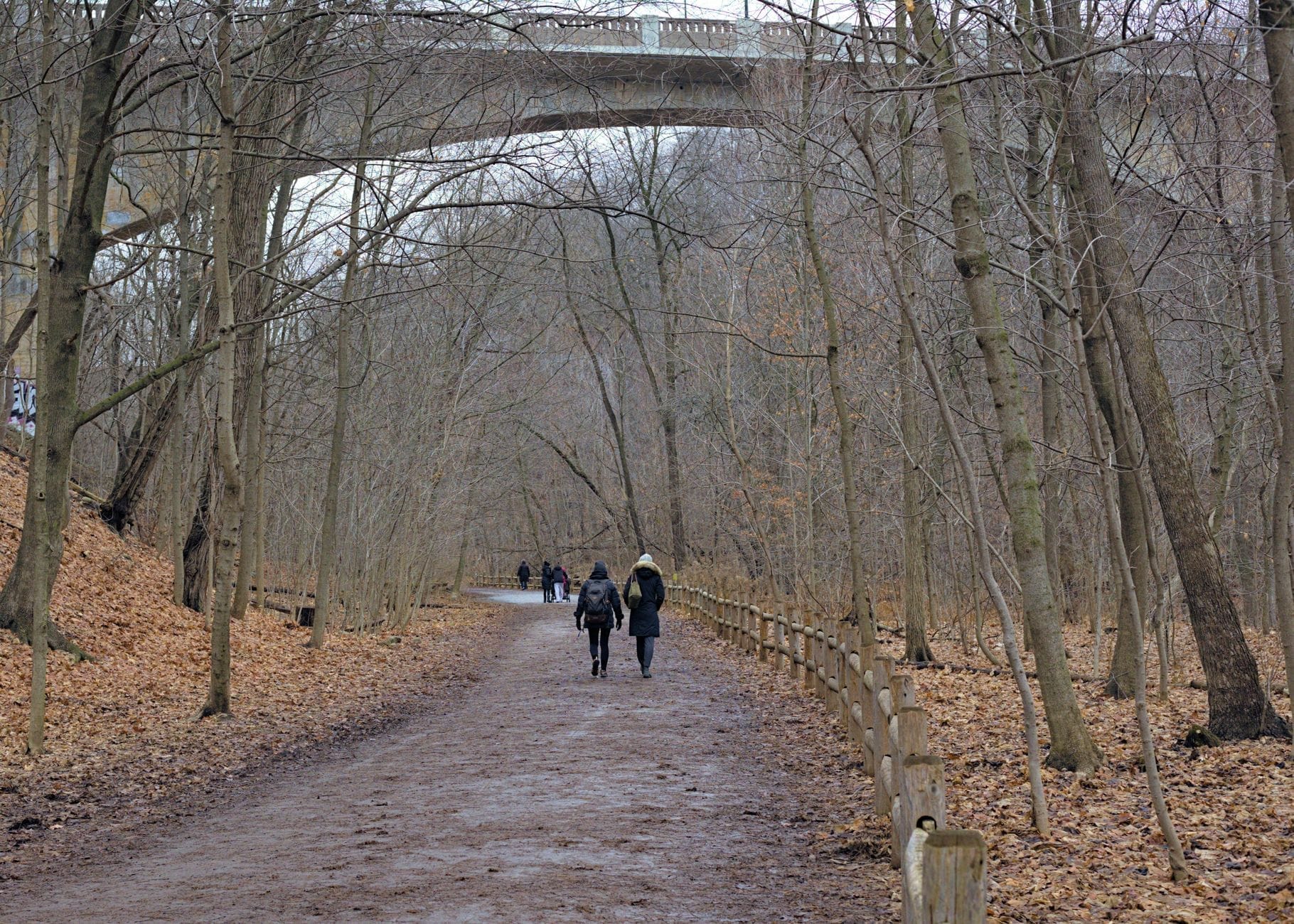 Uma ampla trilha de terra em uma ravina de Toronto, ladeada por árvores sem folhas e uma cerca de madeira, com pessoas caminhando e uma ponte ao fundo.