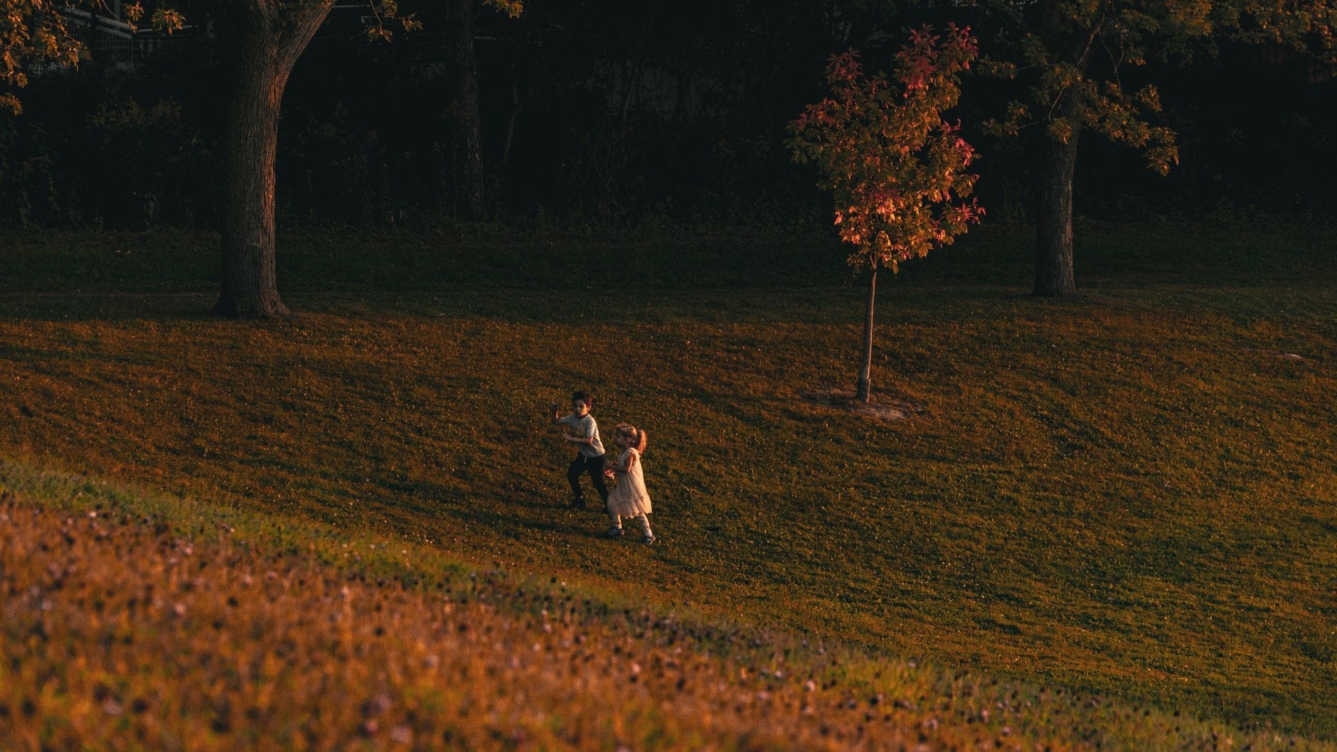 Duas crianças brincando em uma colina gramada em um grande parque ao pôr do sol, com árvores e cores do outono visíveis.