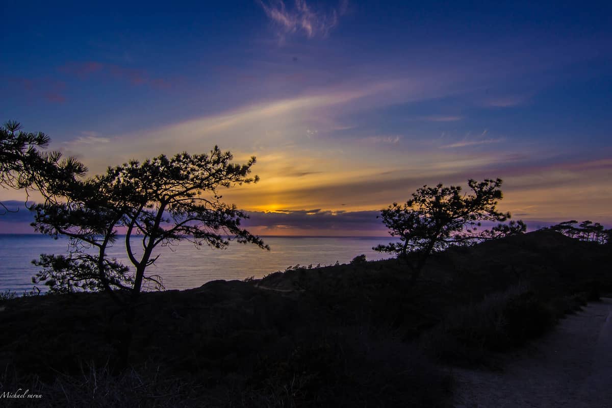 Das Torrey Pines State Natural Reserve bei Sonnenuntergang: seltene Torrey-Kiefern als Silhouetten vor einem farbenprächtigen Himmel und dem Pazifischen Ozean im Hintergrund.