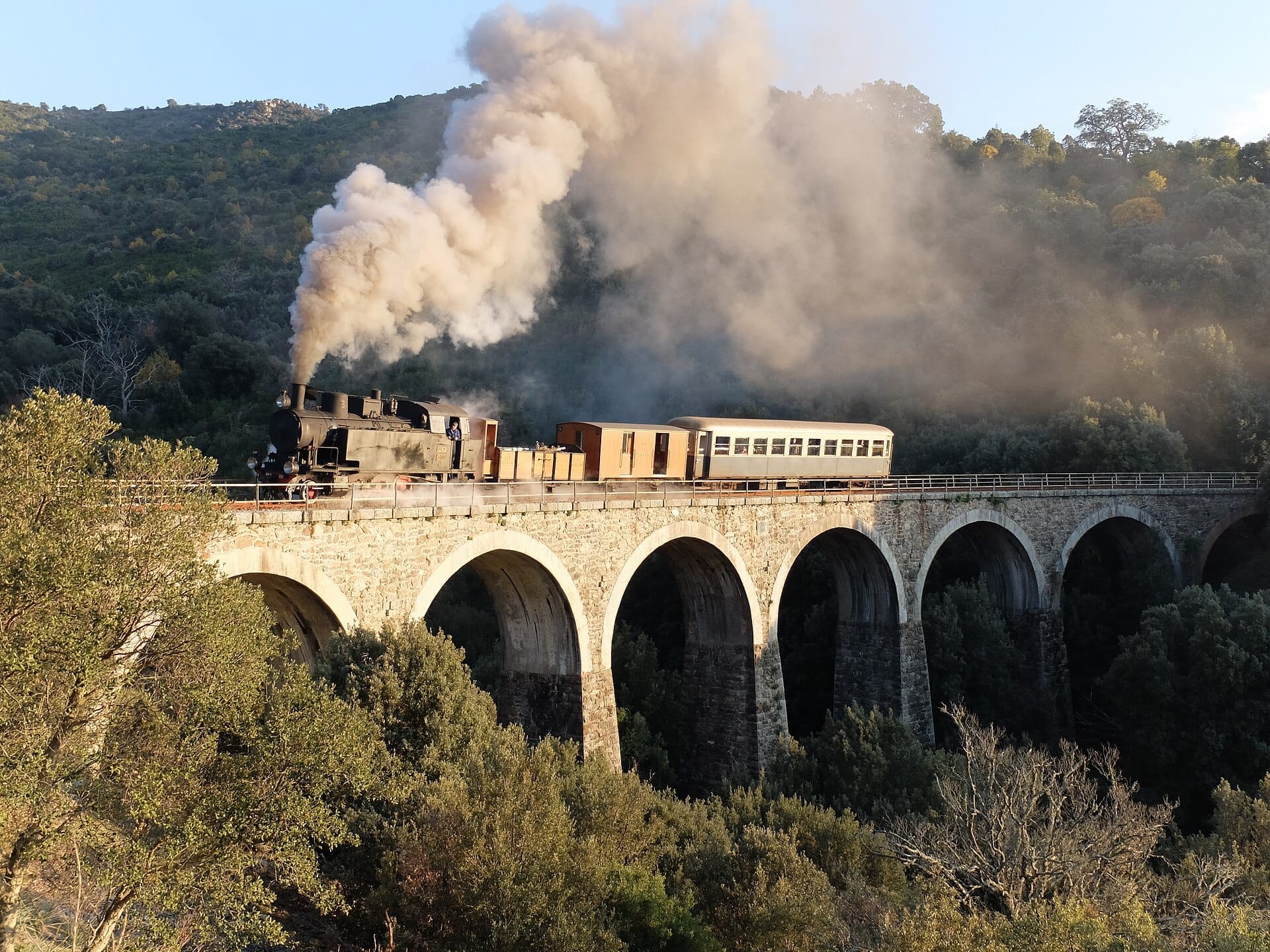 Historischer Dampfzug Trenino Verde überquert ein steinernes Viadukt, umgeben von dichtem grünen Wald und Abendlicht im Inneren Sardiniens.