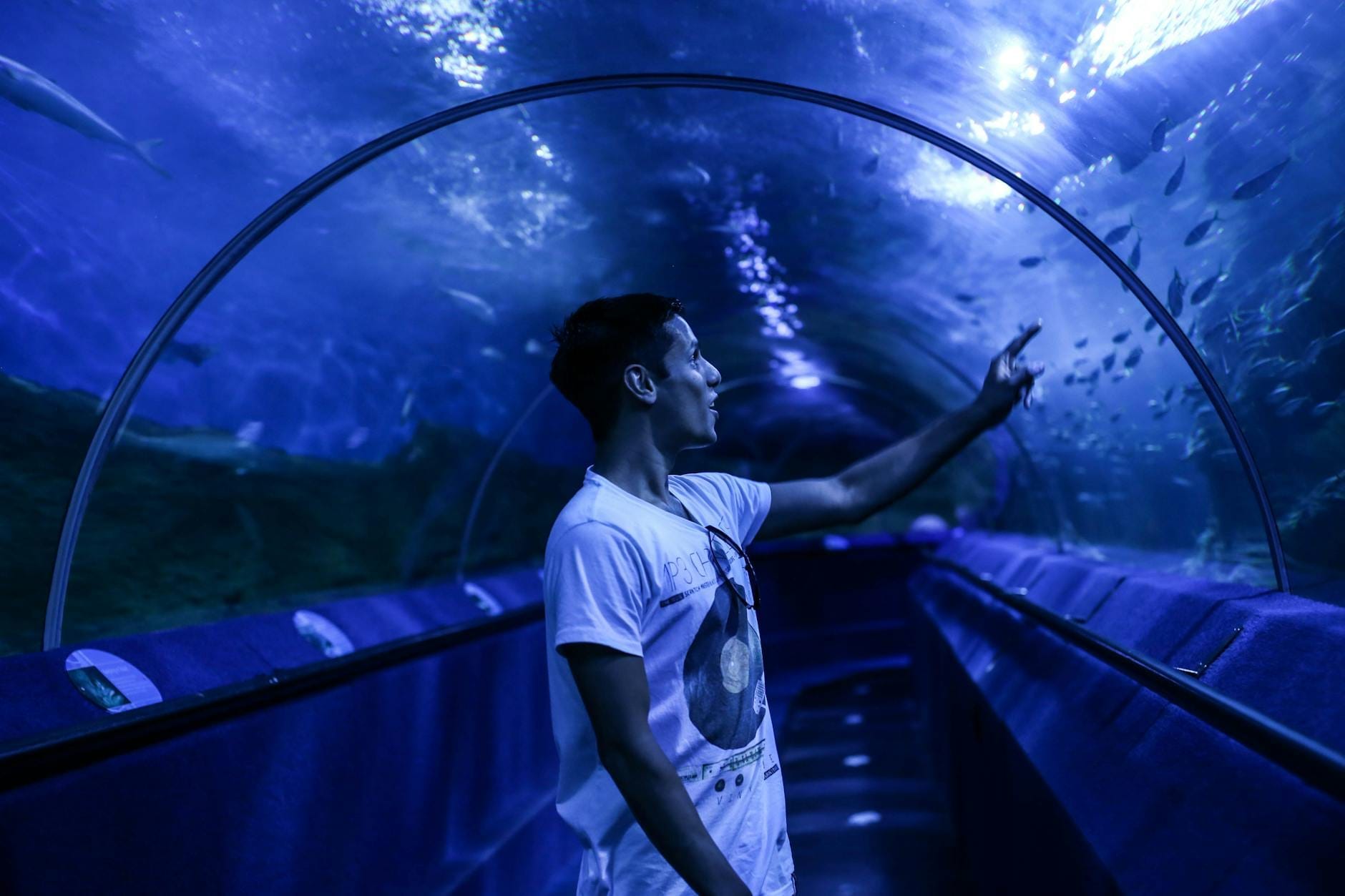 Un visitatore indica con entusiasmo la vita marina all'interno di un lungo tunnel in vetro acrilico illuminato di blu in un grande acquario al coperto.