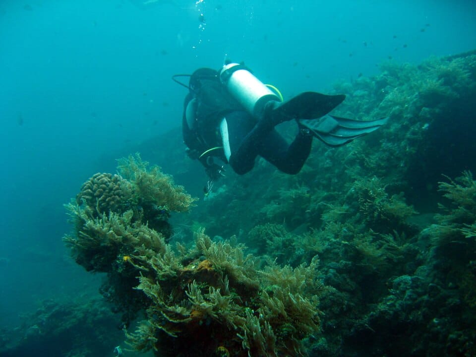 Iconico relitto della USAT Liberty nella baia di Tulamben, Bali, immersione da riva accessibile tra 5 e 30 metri, ricca di pesci e coralli.