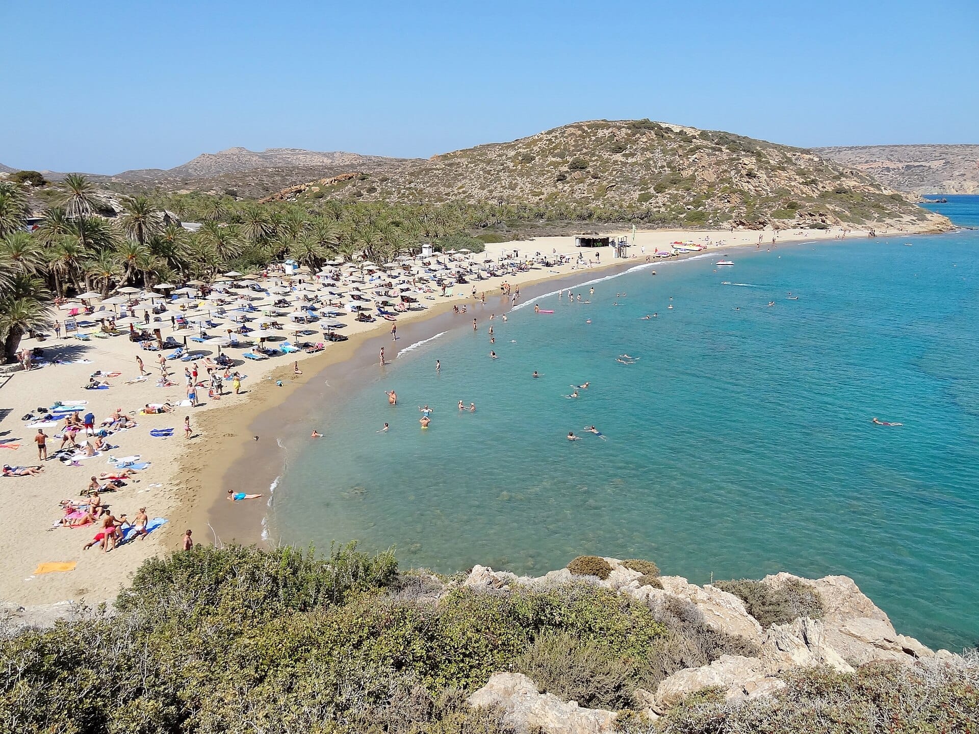 Vista di Vai Palm Beach a Creta con sabbia dorata, acque turchesi, nuotatori, bagnanti e una fitta distesa di palme sullo sfondo.