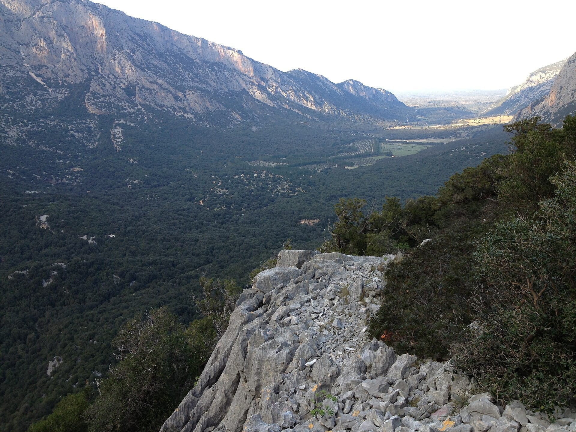 Felsiger Kalksteinvorsprung mit Blick auf das weite, grüne Valle di Lanaittu, eingerahmt von den aufragenden Supramonte-Bergen im natürlichen Tageslicht.