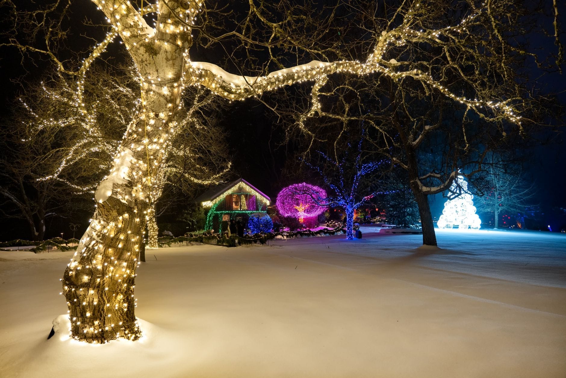Jardim nevado à noite em Vancouver decorado com luzes de Natal coloridas nas árvores e na casa, criando uma atmosfera festiva de inverno perfeita para viagens em dezembro.