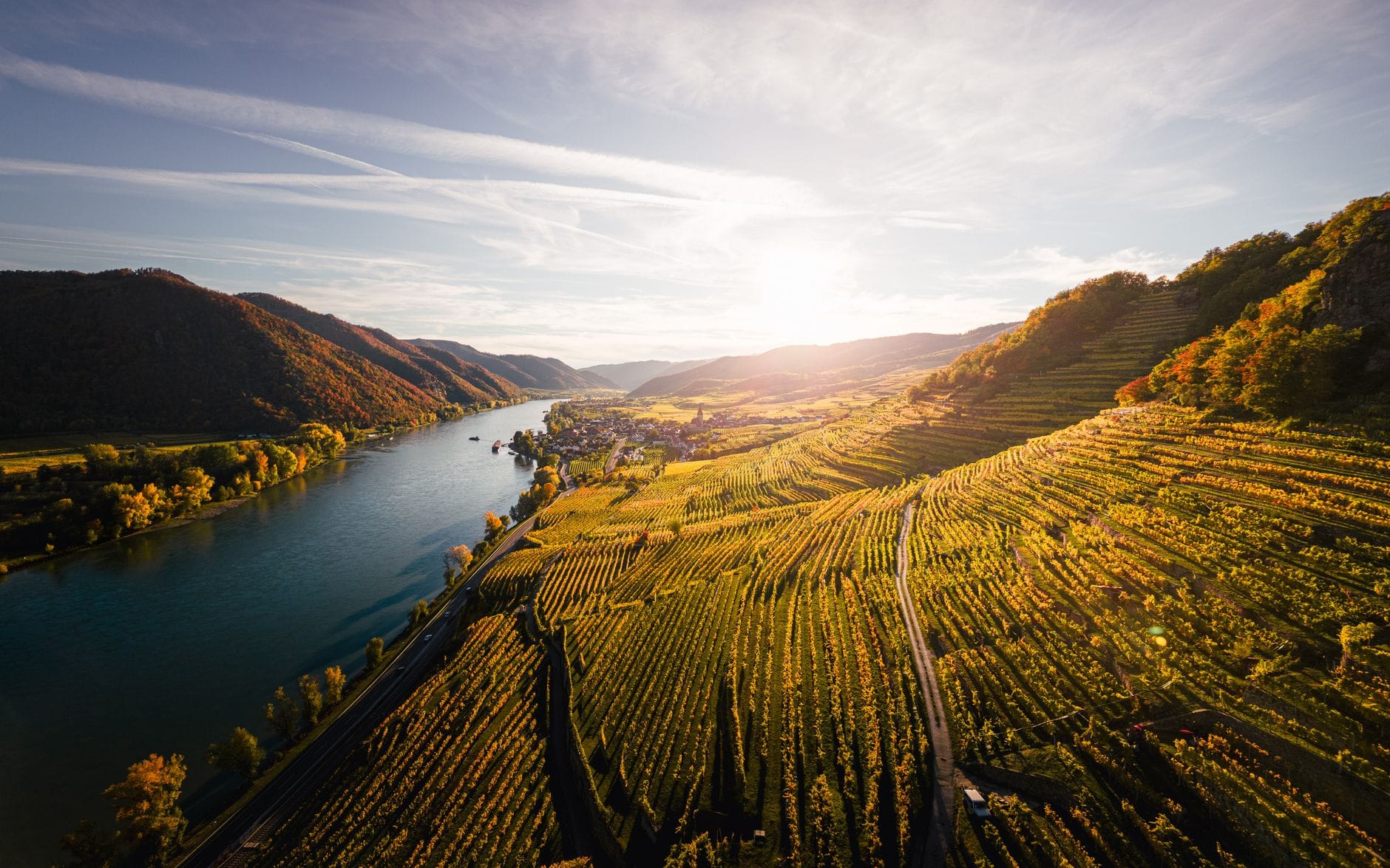 Paisaje soleado del Valle de Wachau con el río Danubio serpenteando entre empinadas colinas cubiertas de viñedos y un pintoresco pueblo a lo lejos.