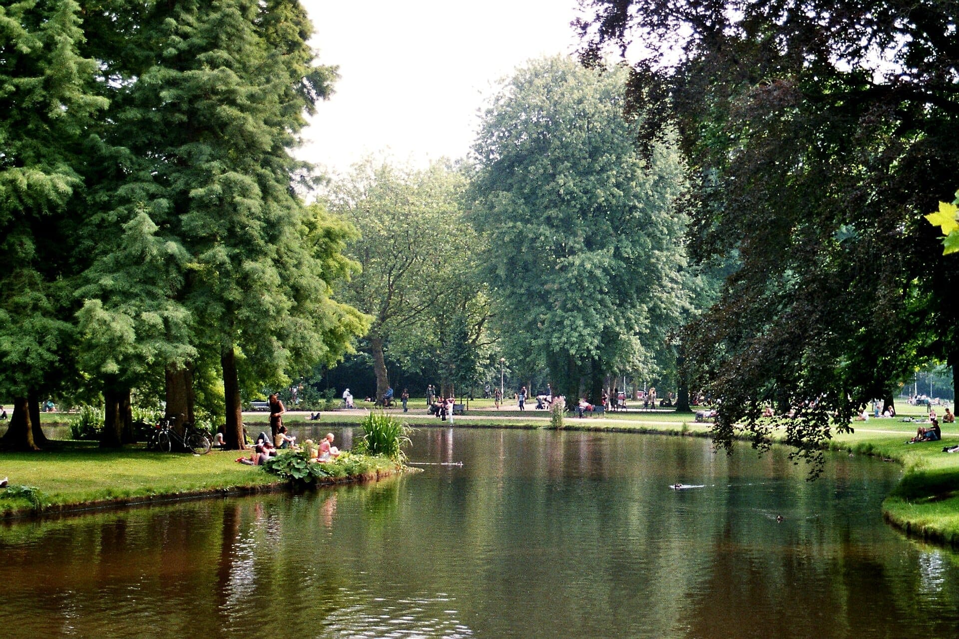 Estanque bordeado de árboles con exuberante vegetación y personas descansando en el césped en Vondelpark, Ámsterdam, en un día soleado.