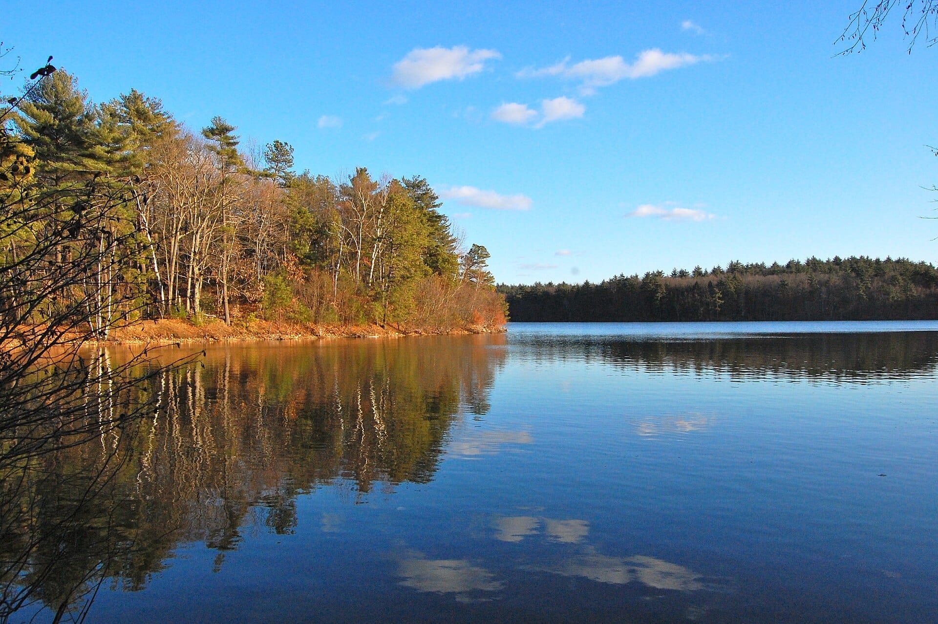 Riva di Walden Pond con alberi autunnali riflessi nell'acqua blu calma sotto un cielo luminoso a Concord, Massachusetts.