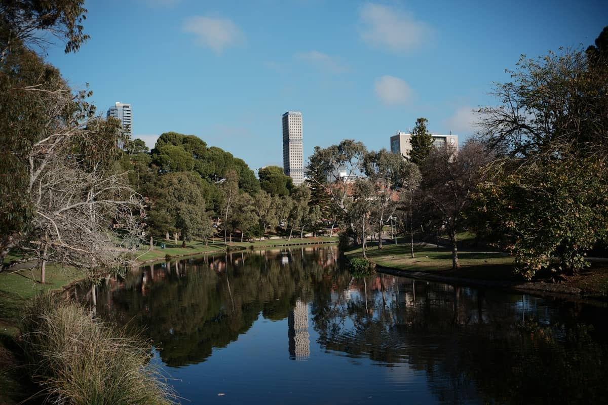 View of the River Torrens with reflections of trees and Adelaide city skyline in the background on a sunny day