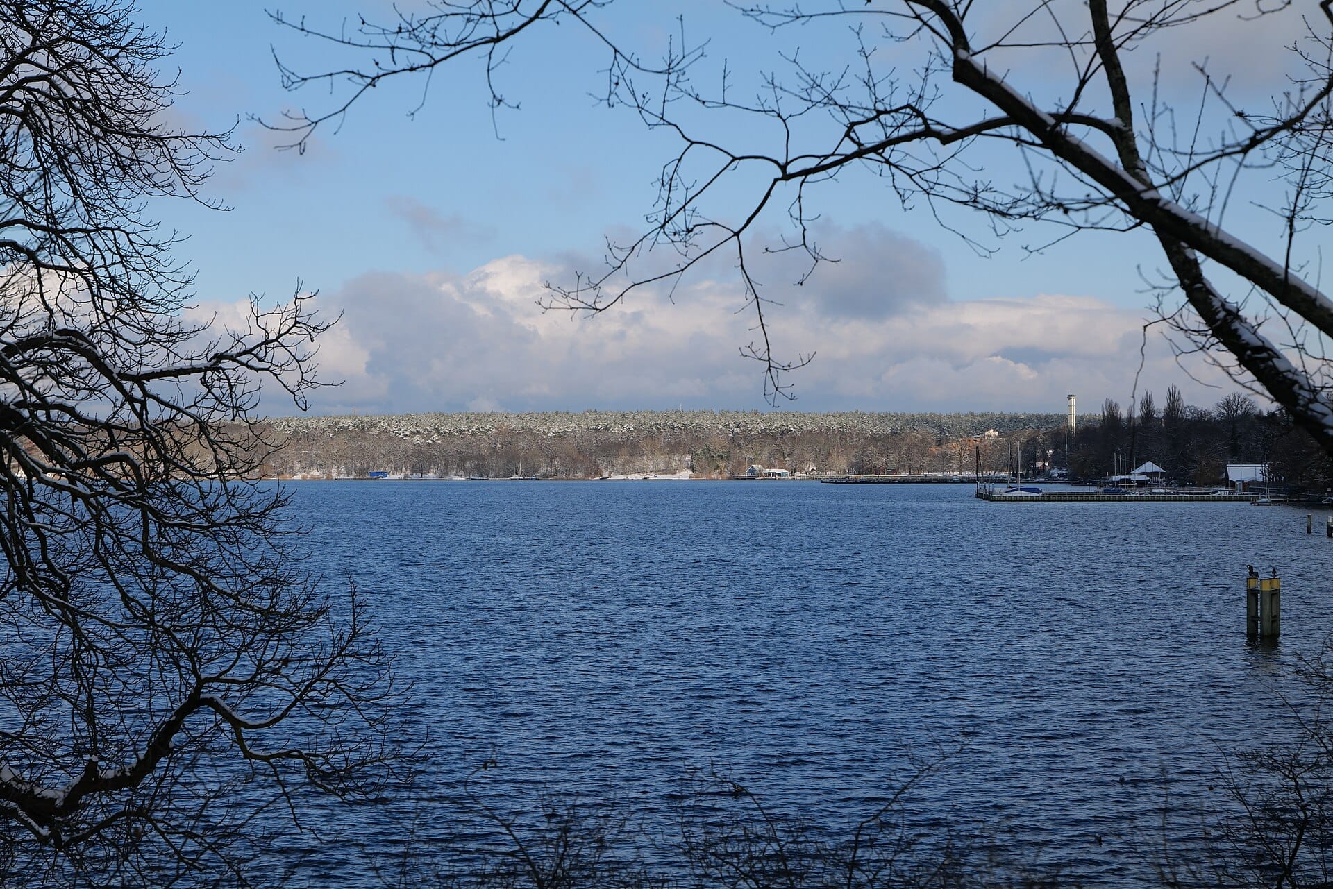 Vista sul lago Großer Wannsee con acque azzurre, rami di alberi in primo piano ed edifici sulla riva lontana sotto un cielo parzialmente nuvoloso.