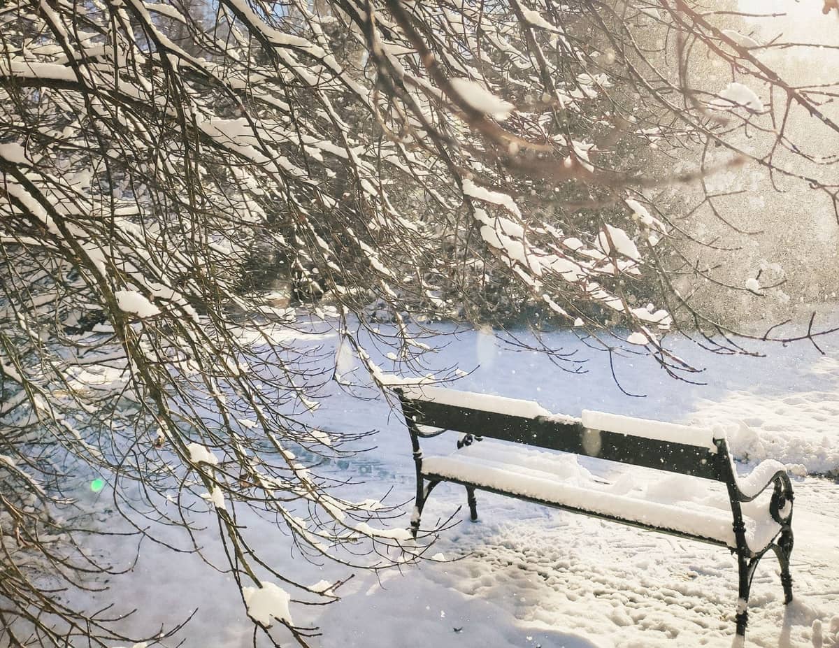 Un banc de parc en bois recouvert de neige fraîche, entouré de branches chargées de neige dans un parc hivernal tranquille.