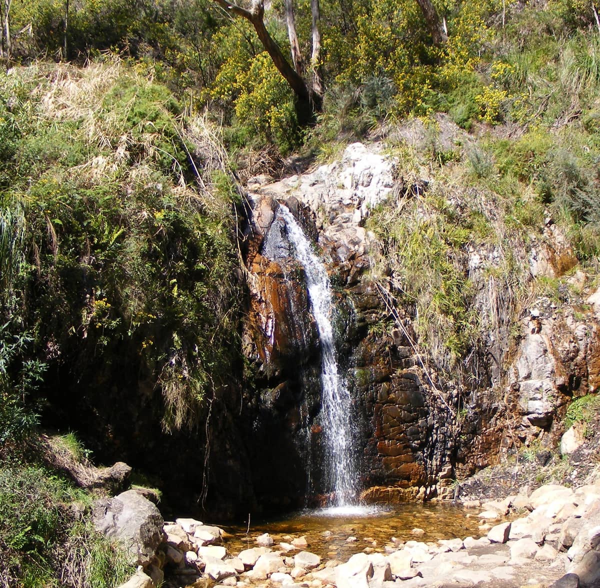 A small natural waterfall cascading over rocks into a shallow pool, surrounded by bushland and native vegetation in Waterfall Gully, Adelaide Hills.