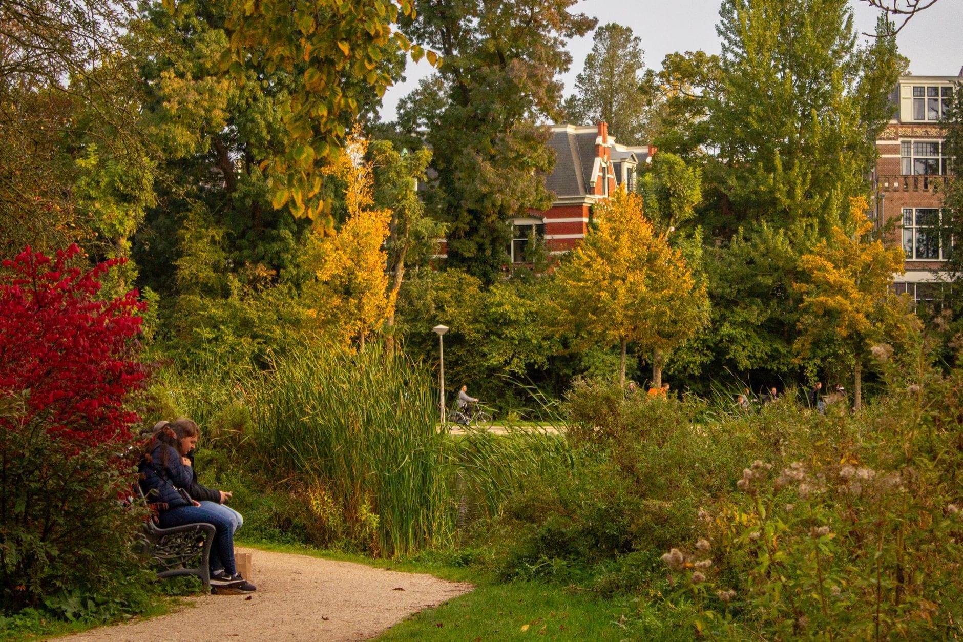 Một người ngồi trên băng ghế dọc con đường uốn lượn trong công viên Amsterdam xanh tươi, với những tán cây mùa thu rực rỡ sắc màu và những tòa nhà gạch cổ điển phía sau.