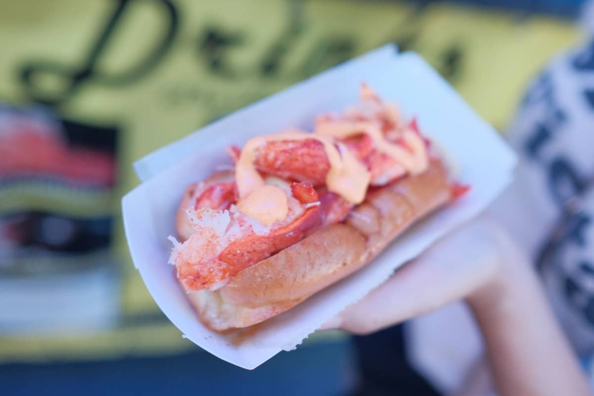 Eine Hand hält einen klassischen New England-Style Lobster Roll in einem Papptablett, gefüllt mit frischem Hummerfleisch in einem gebutterten Brötchen.