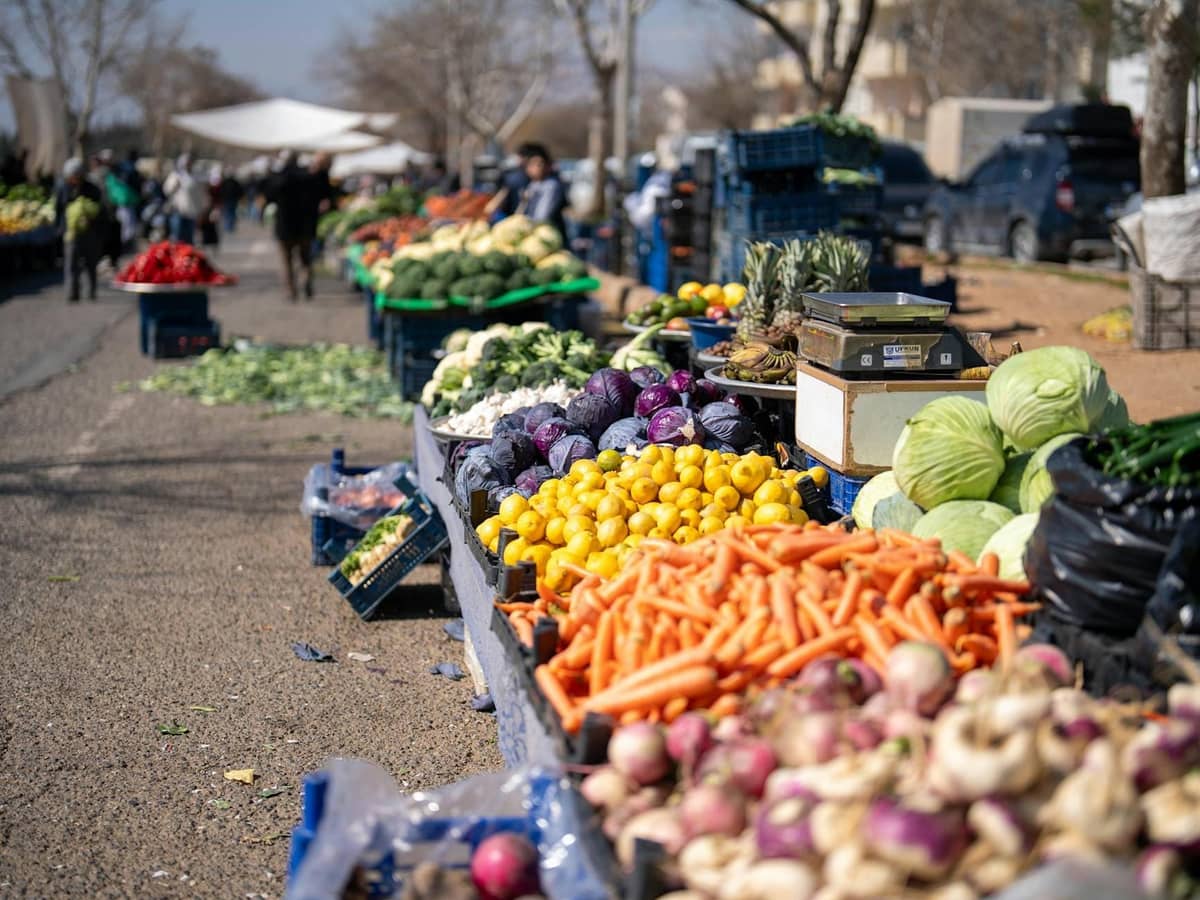Szene auf einem Freiluftmarkt mit buntem, frischem Saisongemüse wie Karotten, Kohl und Rüben, die auf Tischen präsentiert werden, mit einkaufenden Menschen im Hintergrund.