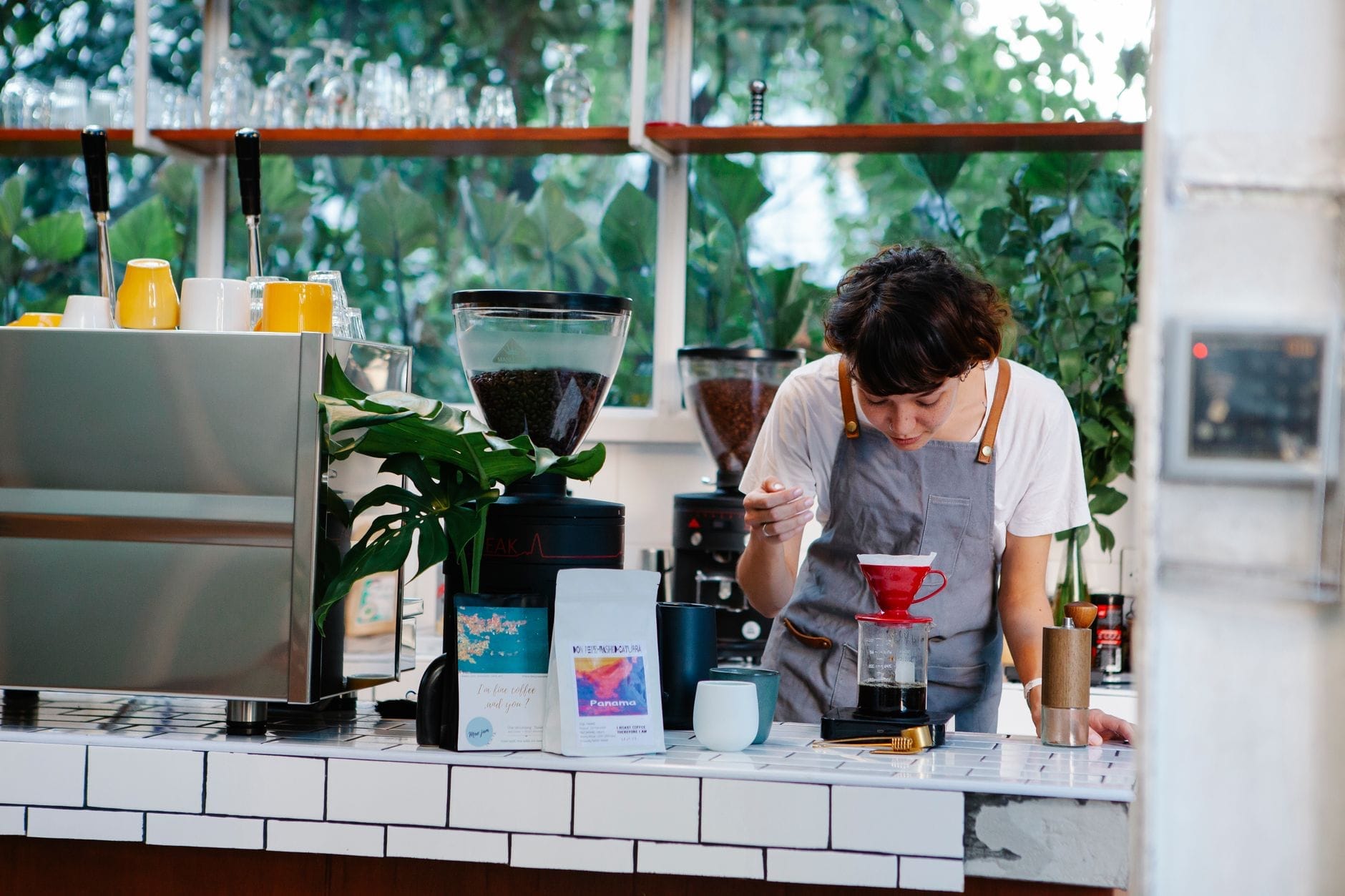 Barista đang pha cà phê pour-over tại một quán cà phê hiện đại, sáng sủa ở Chiang Mai với thiết bị pha cà phê và cây xanh ở phía sau.