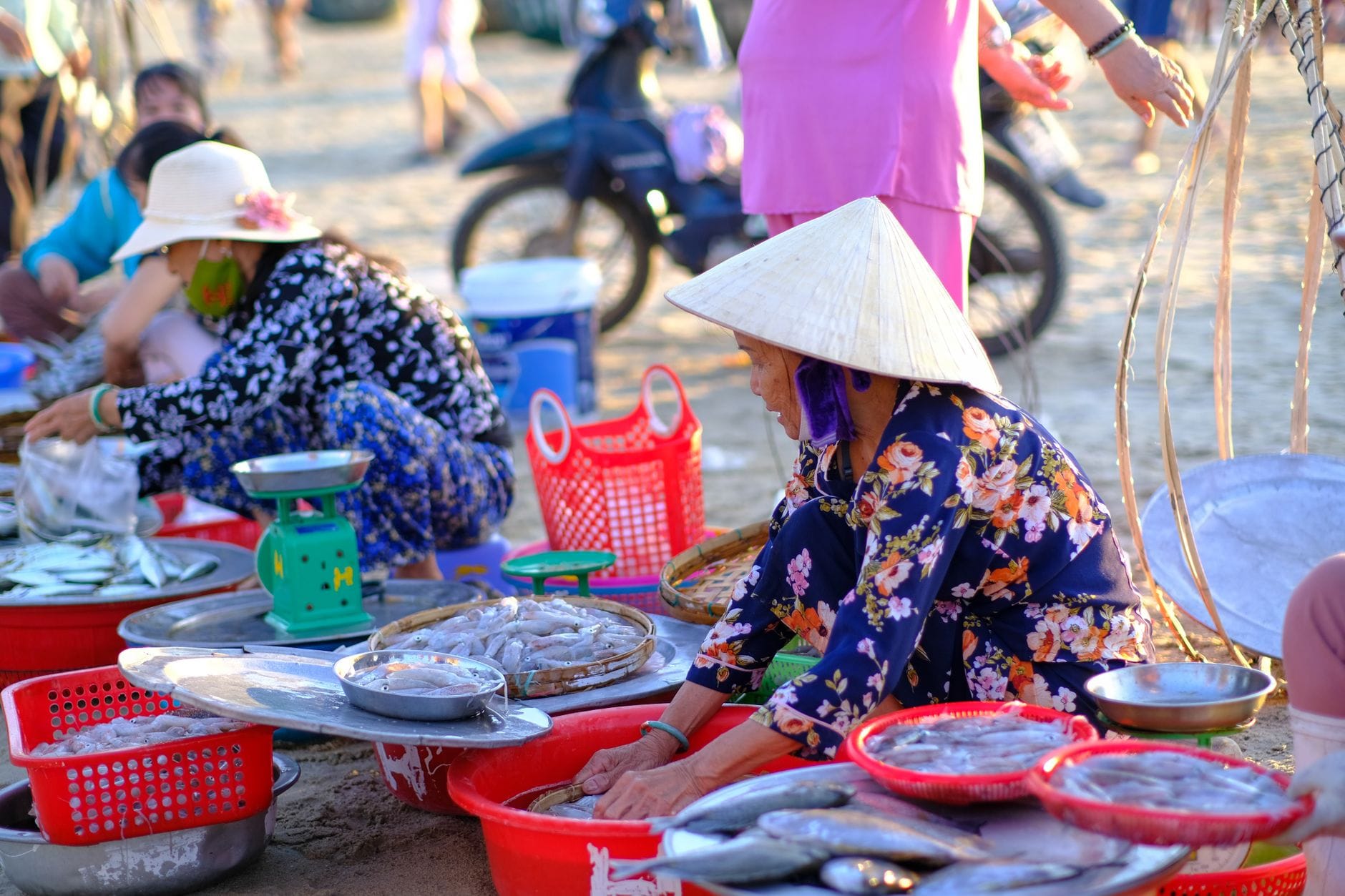 หญิงชาวเวียดนามสวมหมวกทรงกรวยกำลังขายอาหารทะเลสดในตะกร้าสีแดงที่ตลาดชายฝั่งที่คึกคัก น่าจะเป็นที่ดานัง