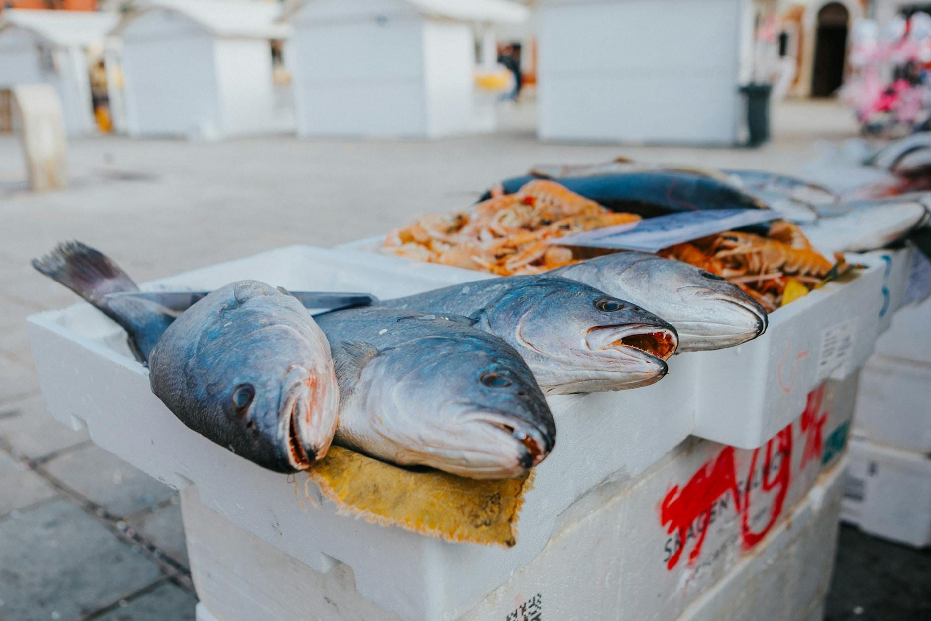 Primer plano de pescado fresco entero y mariscos expuestos en un puesto de mercado en Dubrovnik, con edificios de piedra al fondo.