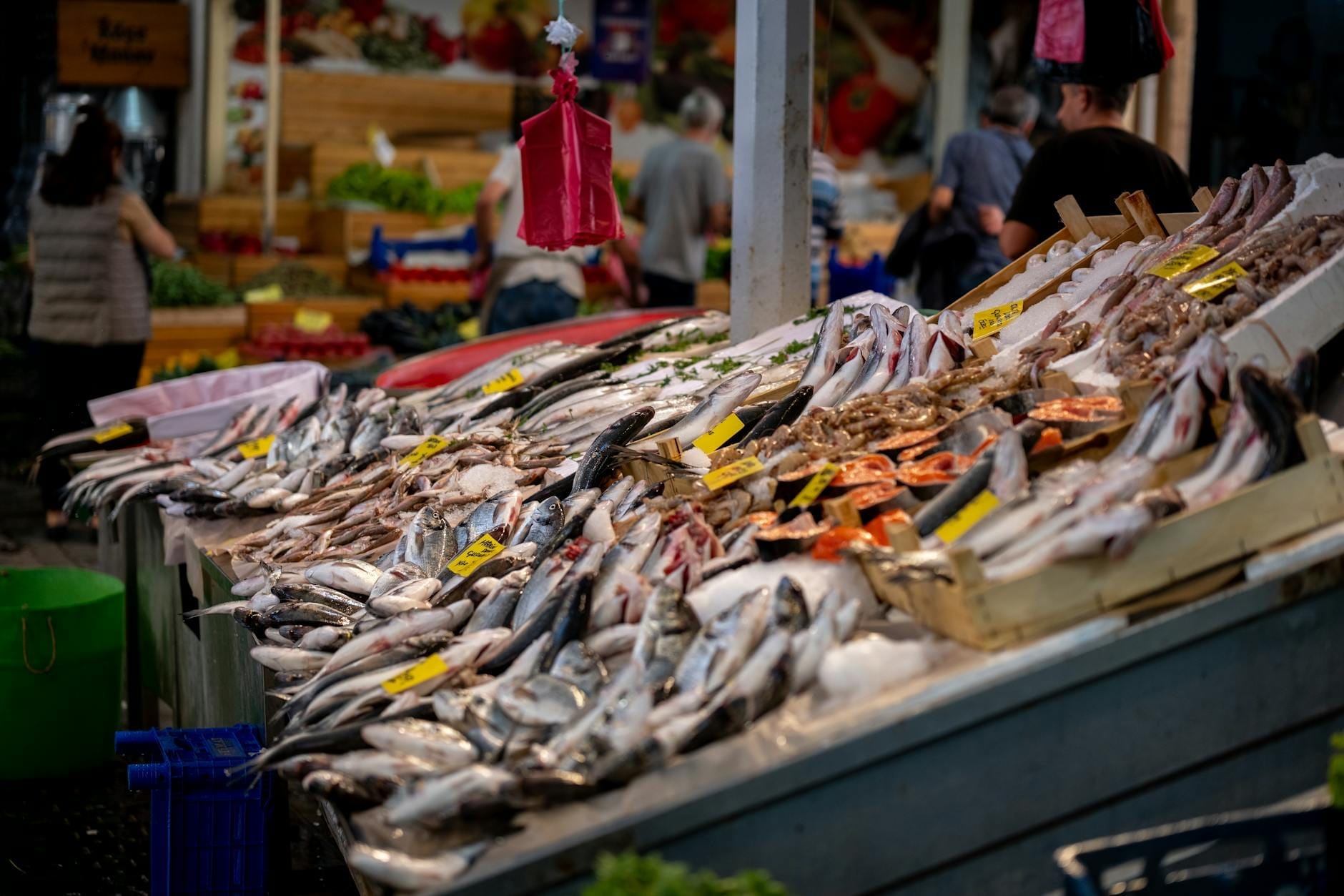 Puesto de pescado en un mercado al aire libre con muchos tipos de pescado fresco dispuestos sobre hielo, compradores al fondo.