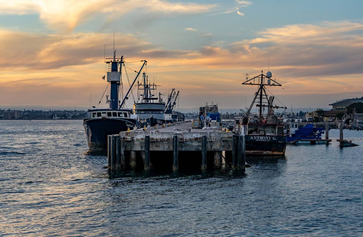 Mehrere große Fischereifahrzeuge, die bei Sonnenuntergang an einem Pier in San Diego anlegen, mit Wasser und einem bewölkten Himmel im Hintergrund.