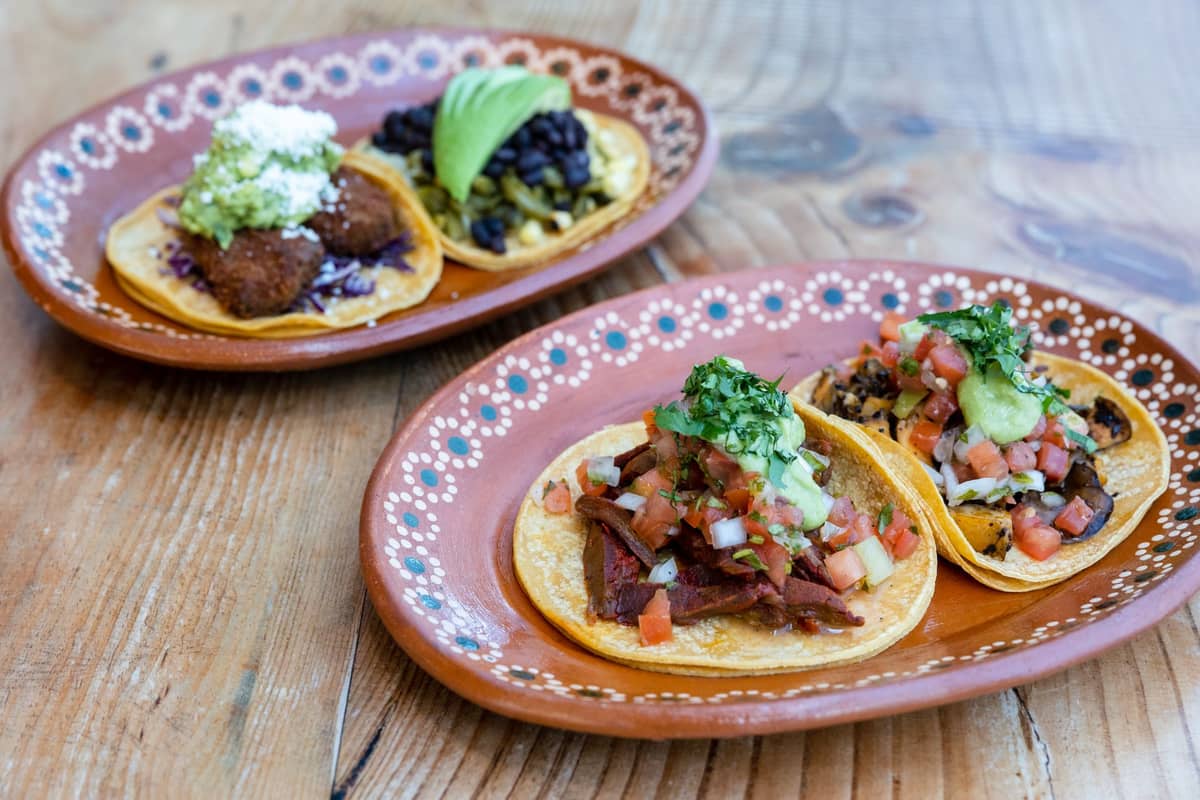 Zwei Teller mit bunten Tacos, belegt mit frischer Salsa, Guacamole und Käse, auf einem rustikalen Holztisch.