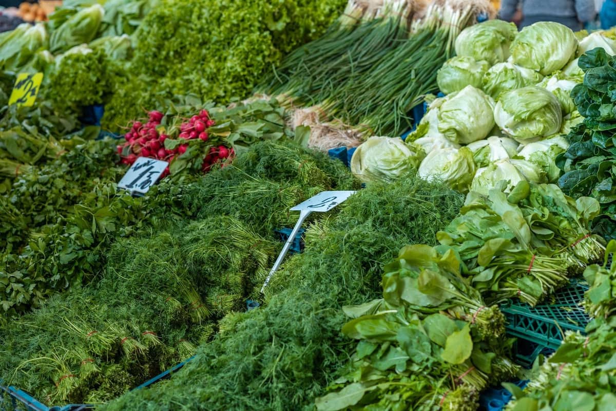 Un étalage vibrant d'herbes fraîches vertes, de radis et de choux dans un marché en plein air, mettant en valeur les produits de saison à Varsovie.