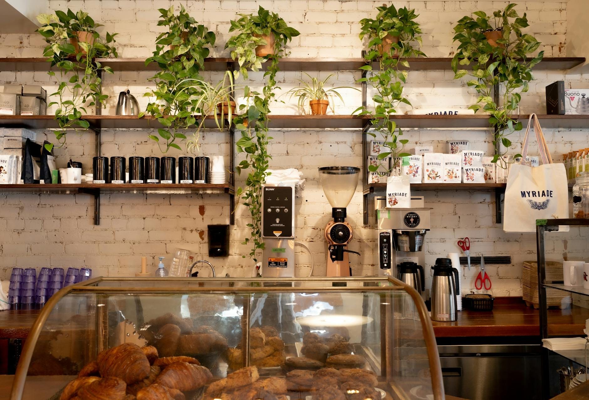 Bright, cozy bakery cafe with a glass display full of pastries, coffee equipment on wooden shelves, and plants hanging on a white brick wall.