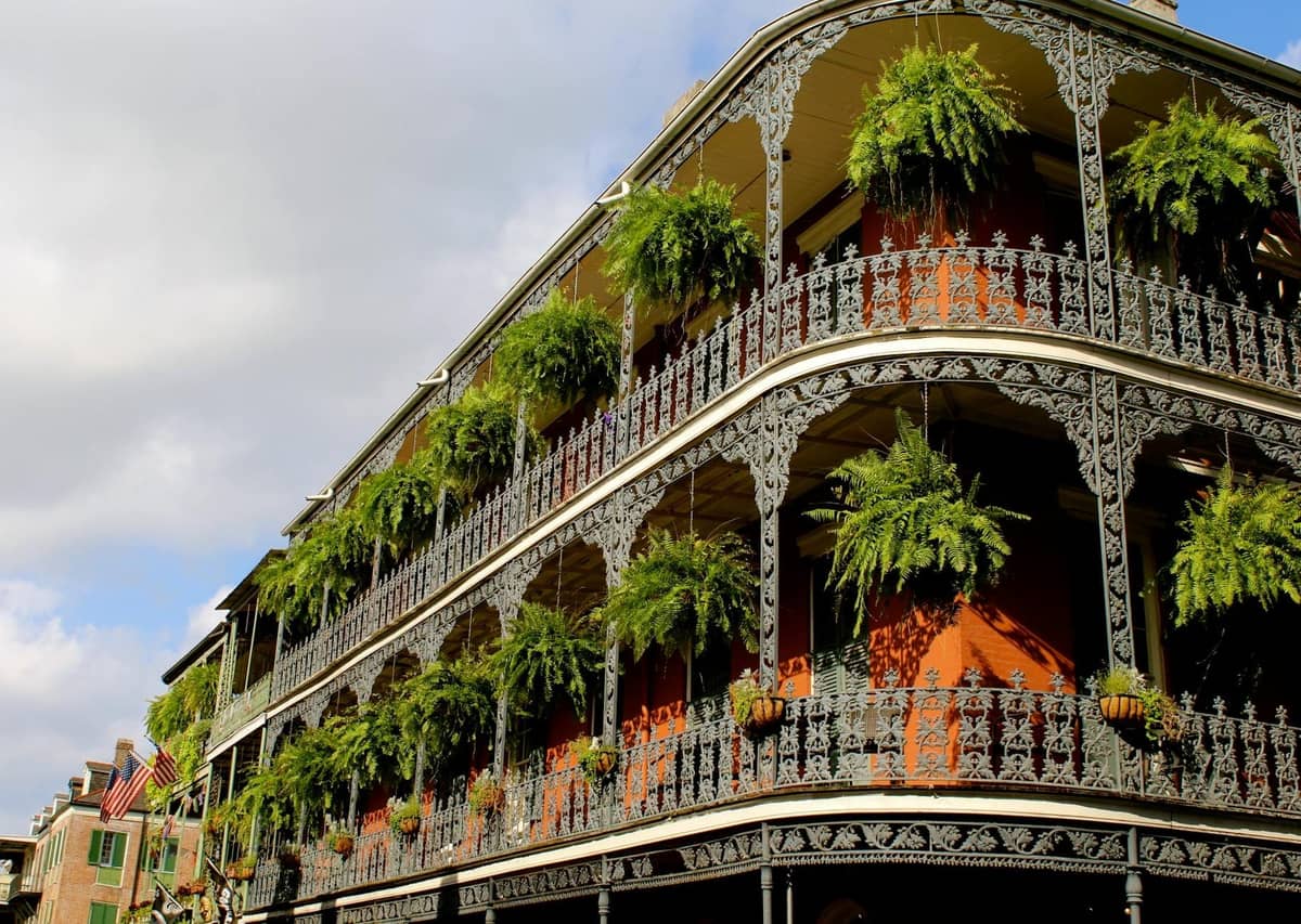 Ornate wrought iron balconies with lush green hanging plants on a historic corner building in New Orleans French Quarter.