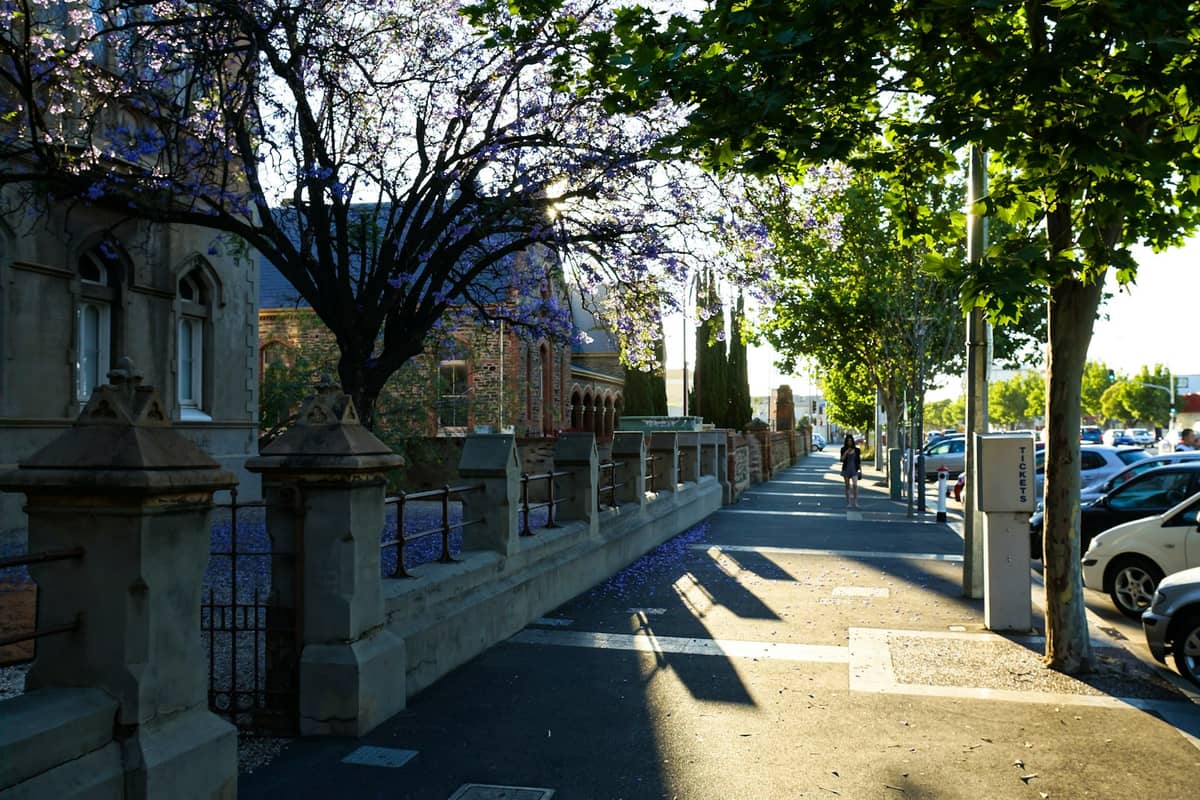 Baumgesäumte Straße in Adelaide mit historischen Steingebäuden, Zäunen und geflecktem Sonnenlicht auf dem Gehweg und geparkten Autos.