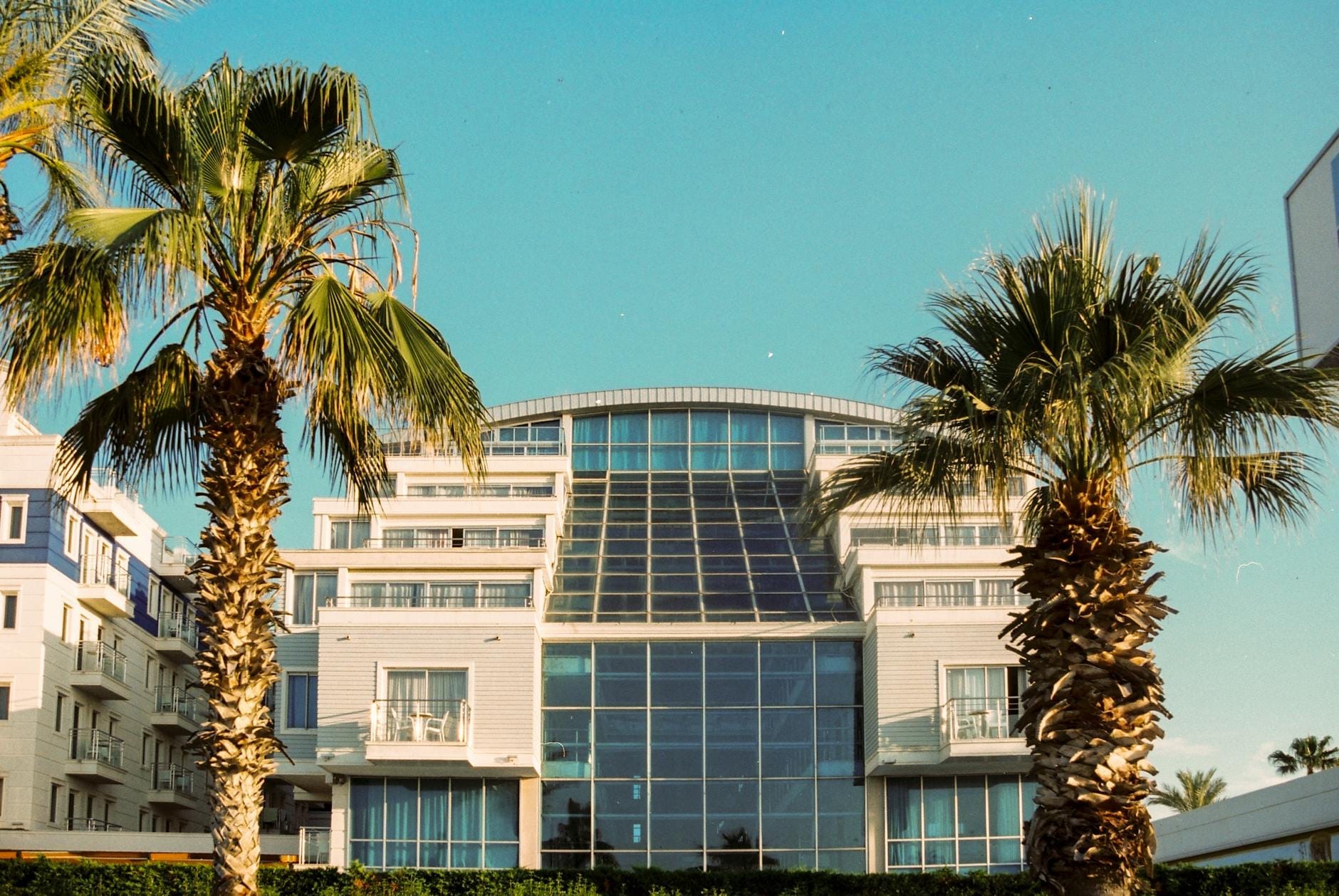 Hotel moderno em Antalya emoldurado por duas altas palmeiras, com fachada de vidro e um céu azul limpo.