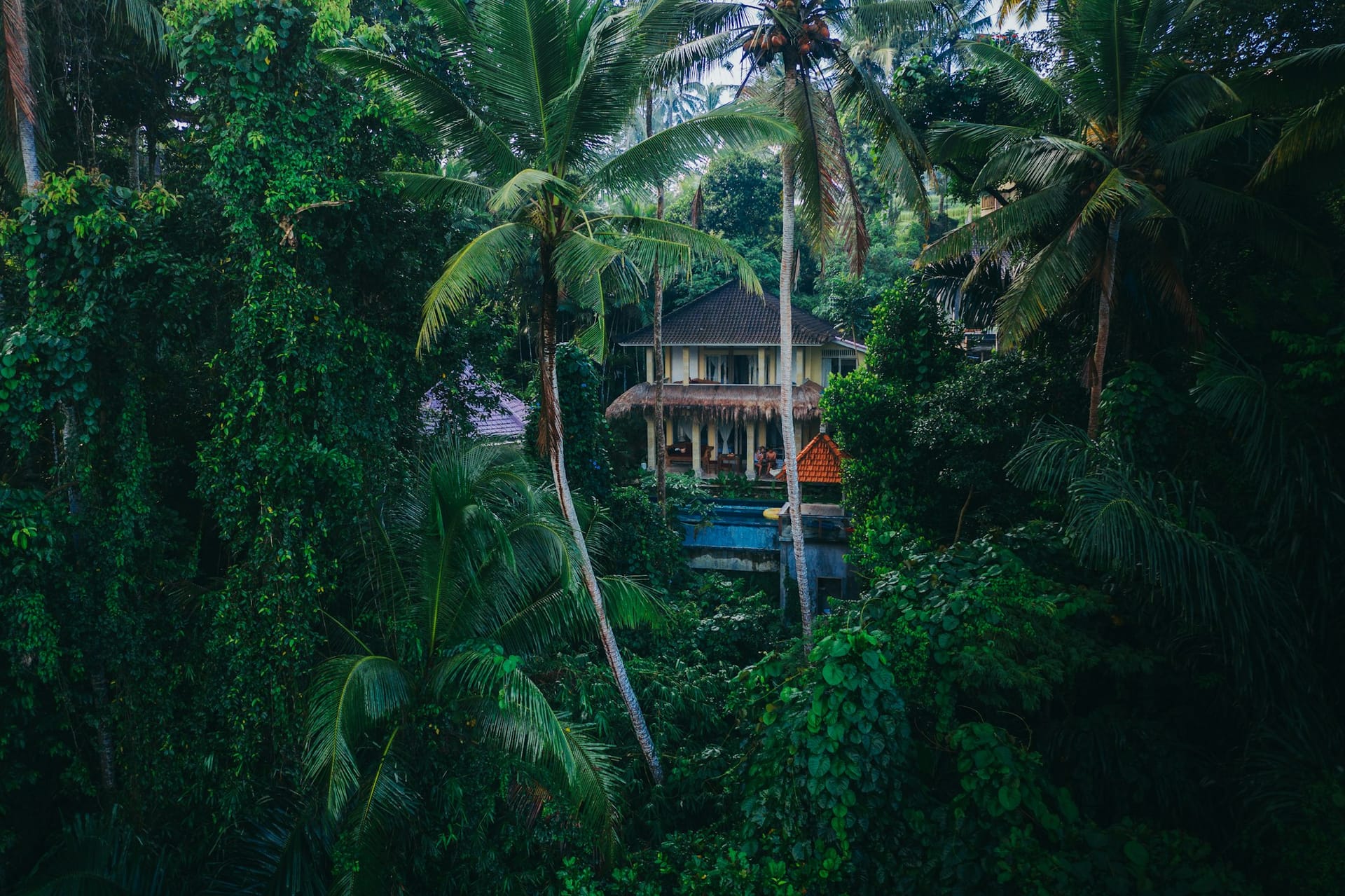 Dschungelvilla in Ubud auf Bali, umgeben von tropischem Wald und Palmen