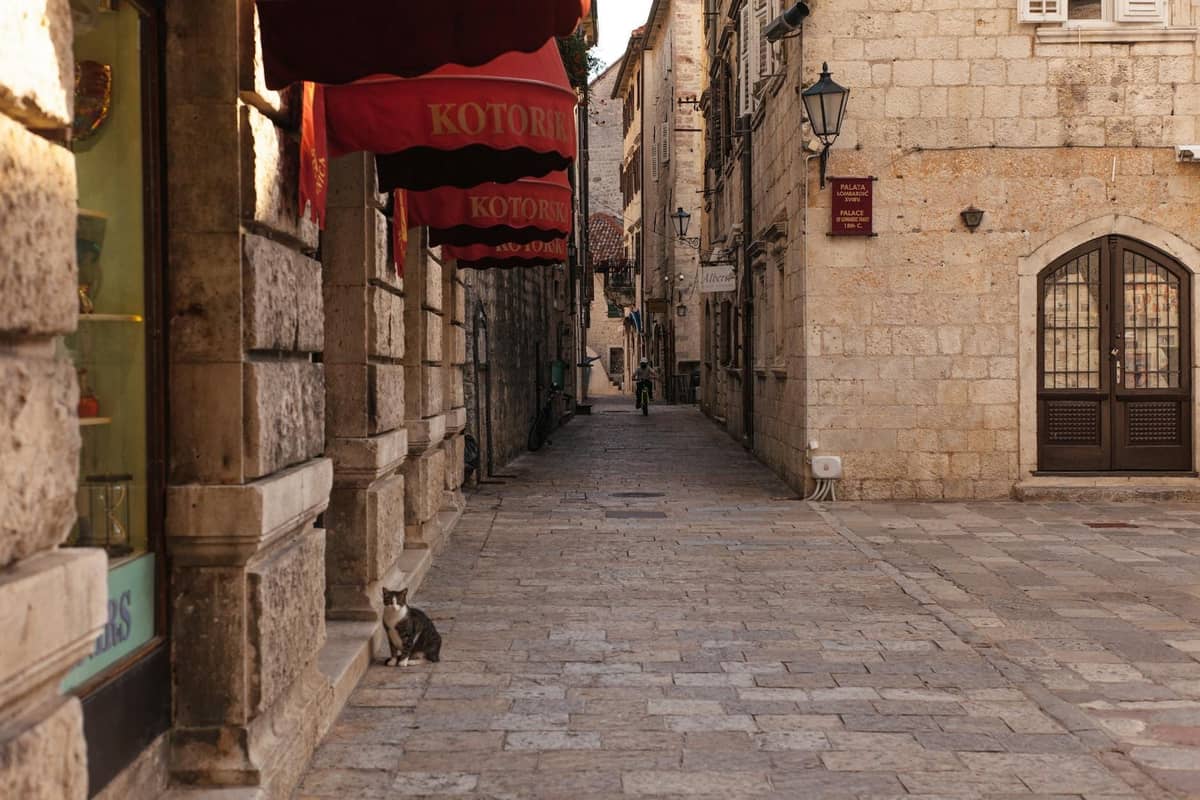 Quiet stone street in Kotor Old Town with historic buildings, red awnings, and a cat sitting by the wall in the foreground.