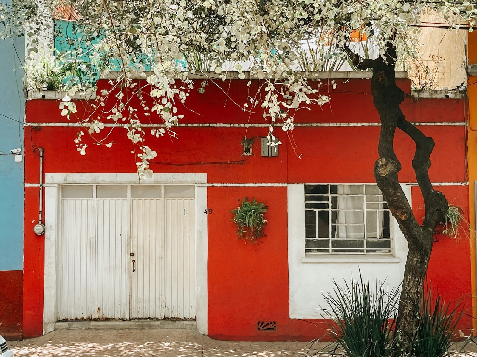 Fachada residencial colorida com paredes vermelhas e azuis, garagem branca, árvore florida e vegetação urbana em bairro da Cidade do México.