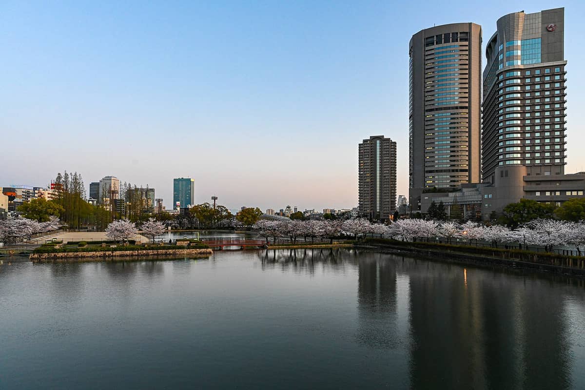 Modern high-rise hotels and cherry blossoms along the waterfront in Osaka's Nakanoshima area at sunset
