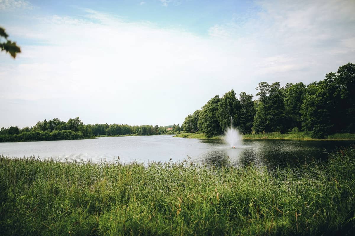Ruhiger Parksee umgeben von Bäumen mit einem Wasserbrunnen in der Mitte unter einem hellen Sommerhimmel.