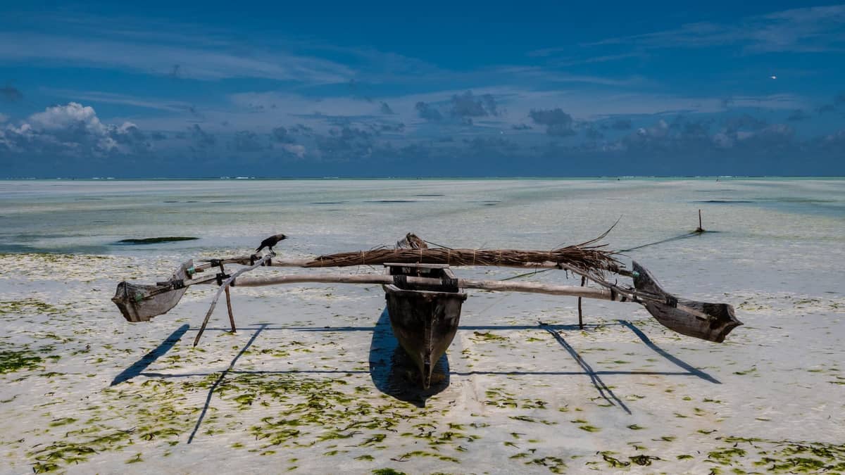 Ein traditionelles hölzernes Dau-Boot auf weißem Sand mit türkisfarbenen Gezeitenflächen und sichtbarem Riff unter einem leuchtend blauen Himmel an der Nordostküste von Sansibar.