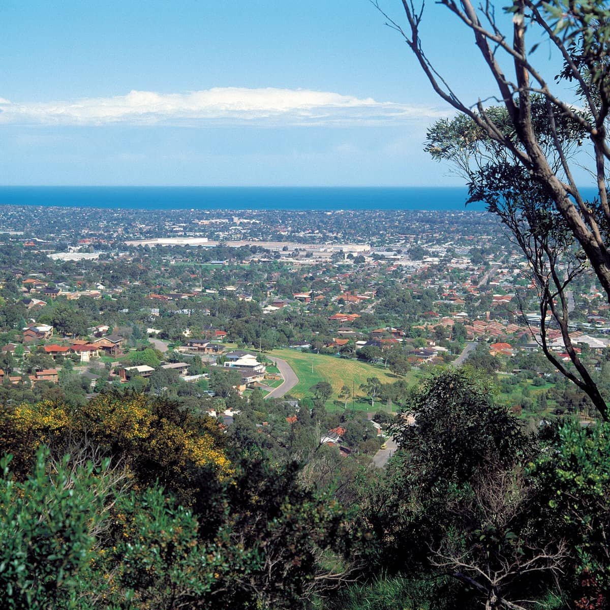 Aussicht vom Windy Point Lookout mit Adelaides Stadtbild, verstreuten Häusern, grünen Bäumen und der Küstenlinie unter einem klaren blauen Himmel.