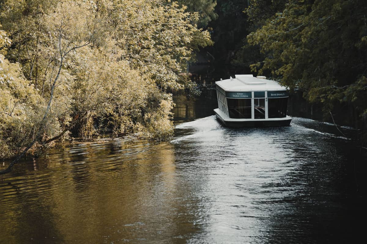 Ein kleines überdachtes Pontonboot fährt durch einen schmalen, von üppigen Bäumen gesäumten Kanal – die ruhige Atmosphäre der Winter Park Scenic Boat Tour.