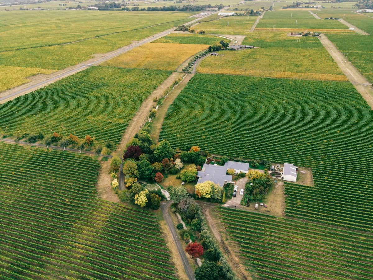 Vista aérea de uma propriedade vinícola com fileiras de videiras, uma casa de campo e campos ao redor em uma paisagem rural verde
