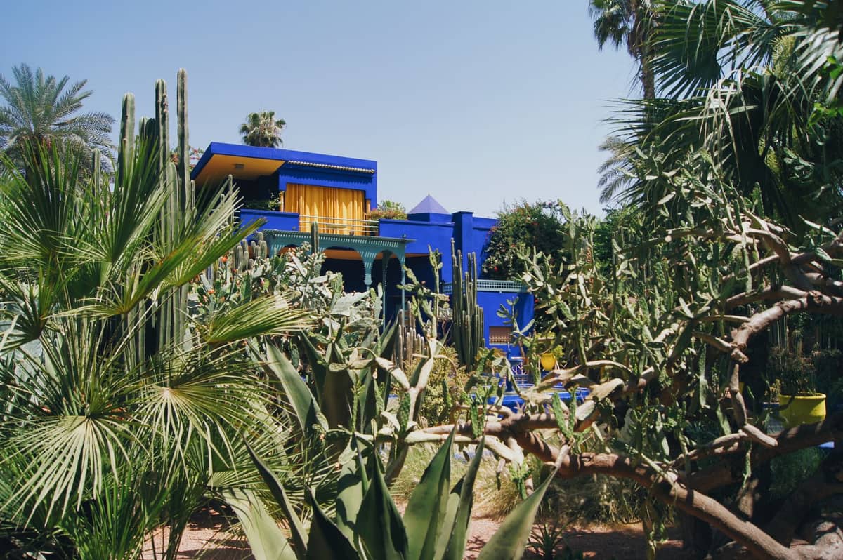 วิววิลล่าสีฟ้าโคบอลต์ในสวน Majorelle ท่ามกลางต้นไม้และต้นกระบองเพชรกลางมาร์ราคิช ซึ่งเป็นส่วนหนึ่งของมรดก Yves Saint Laurent