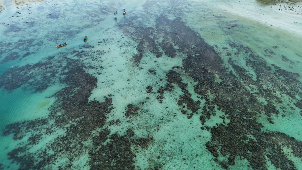 Vista aérea de aguas turquesa poco profundas con manchas de arrecife de coral visibles y algunos barcos frente a una orilla arenosa en Zanzíbar.