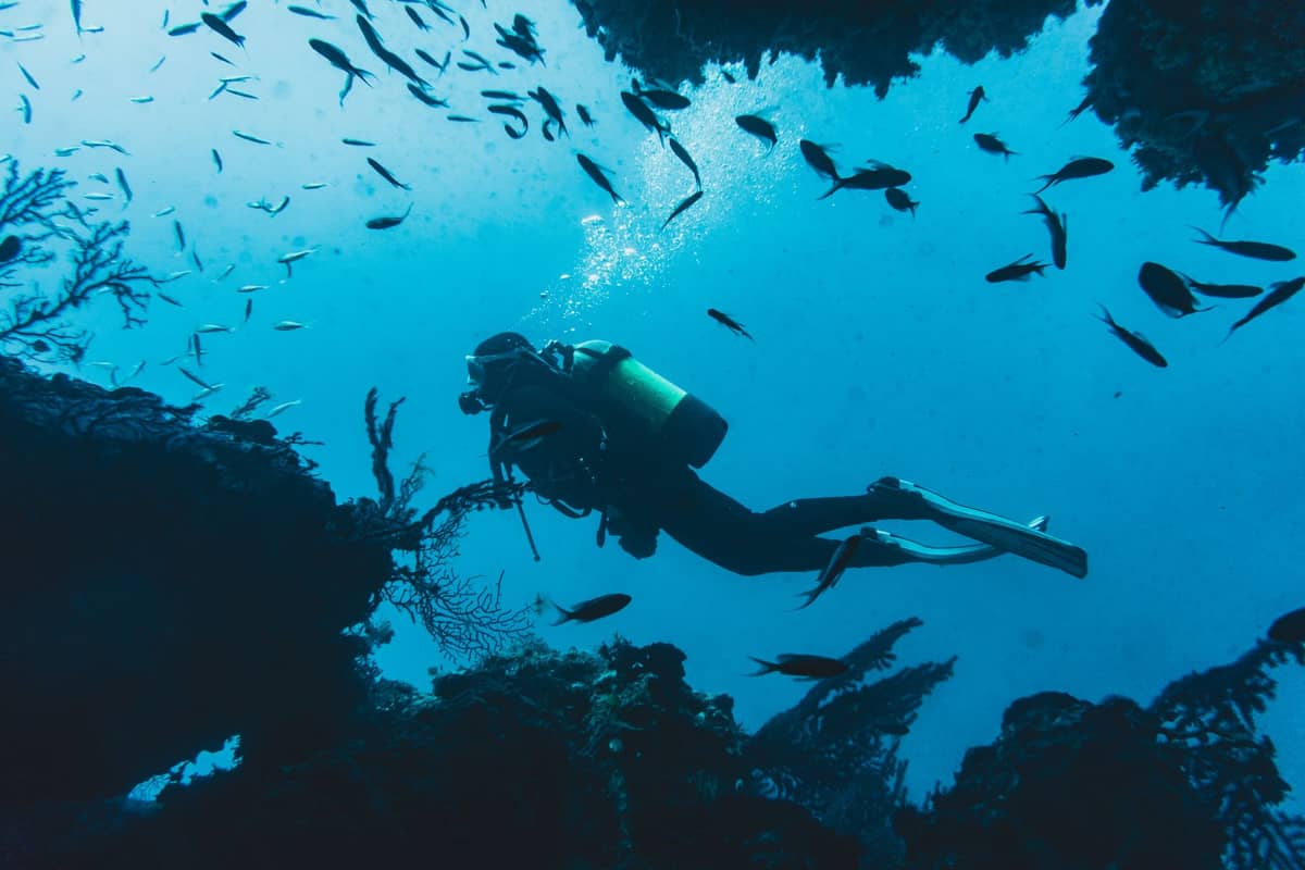 Taucher schwimmt zwischen Korallen und tropischen Fischen in einer klaren Unterwasserszene, umgeben von Riffen und Meereslebewesen.