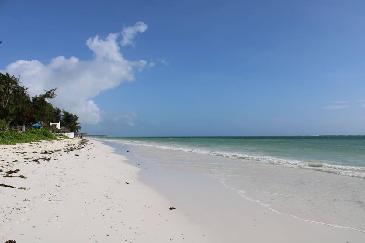 Szeroka, pusta plaża z białym piaskiem, turkusową wodą i kilkoma drzewami, ukazująca spokojną, nietkniętą linię brzegową na Zanzibarze.