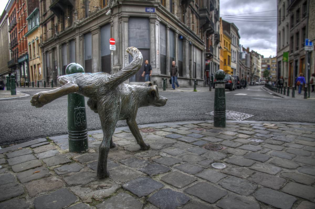 Estátua de bronze do cão Zinneke Pis com a pata levantada, localizada numa esquina de paralelepípedos no histórico bairro Dansaert de Bruxelas.
