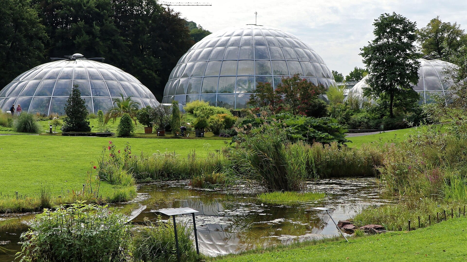 โดมกระจกขนาดใหญ่ของ Zurich Botanical Garden ตั้งตระหง่านอยู่เบื้องหลังสนามหญ้าสีเขียวชอุ่ม บ่อน้ำ และนักท่องเที่ยวที่กำลังสำรวจพืชพรรณหลากหลายในวันที่ท้องฟ้าครึ้ม