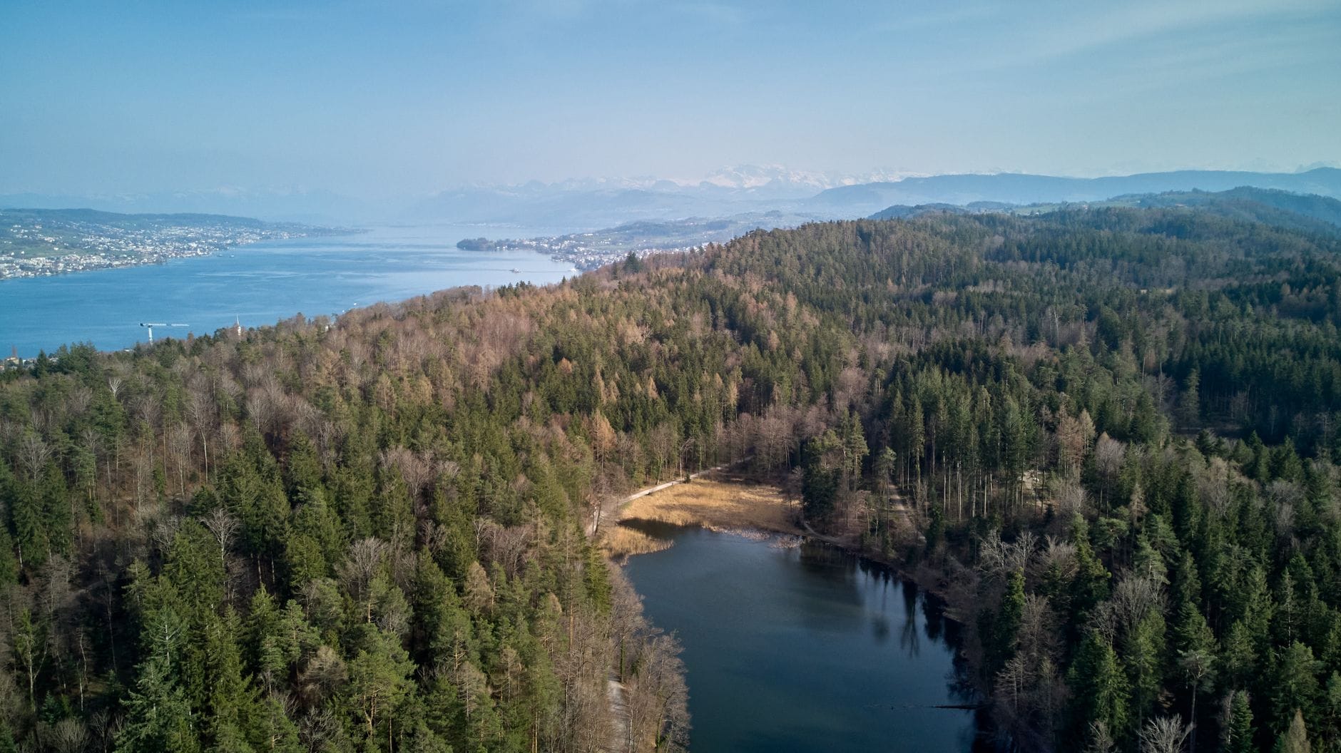 มุมมองทางอากาศของสันเขา Uetliberg ที่ปกคลุมด้วยป่าใกล้ทะเลสาบ Zürich พร้อมตัวเมืองและเทือกเขาแอลป์ในระยะไกลใต้ท้องฟ้าสีฟ้า